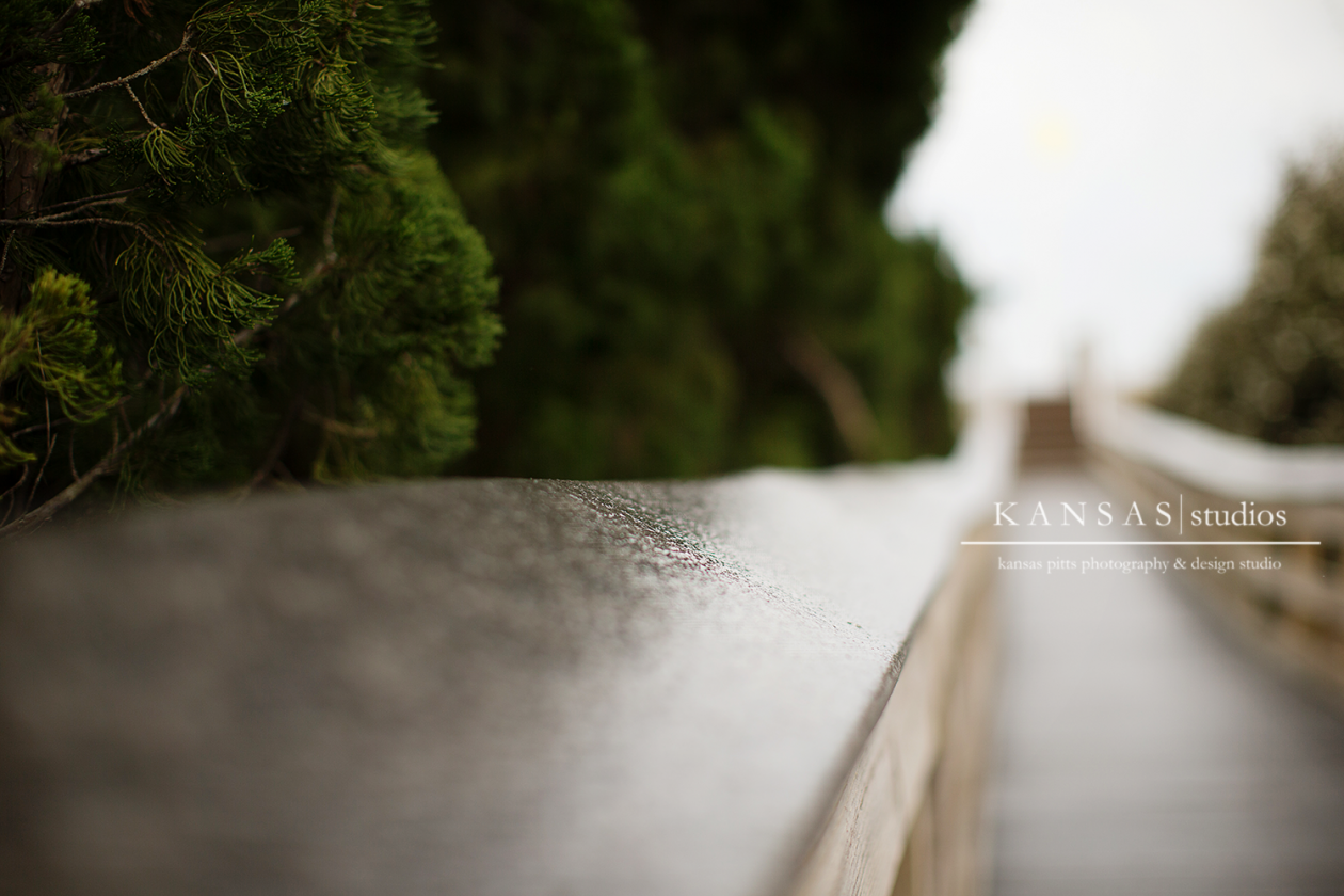 Snow-5