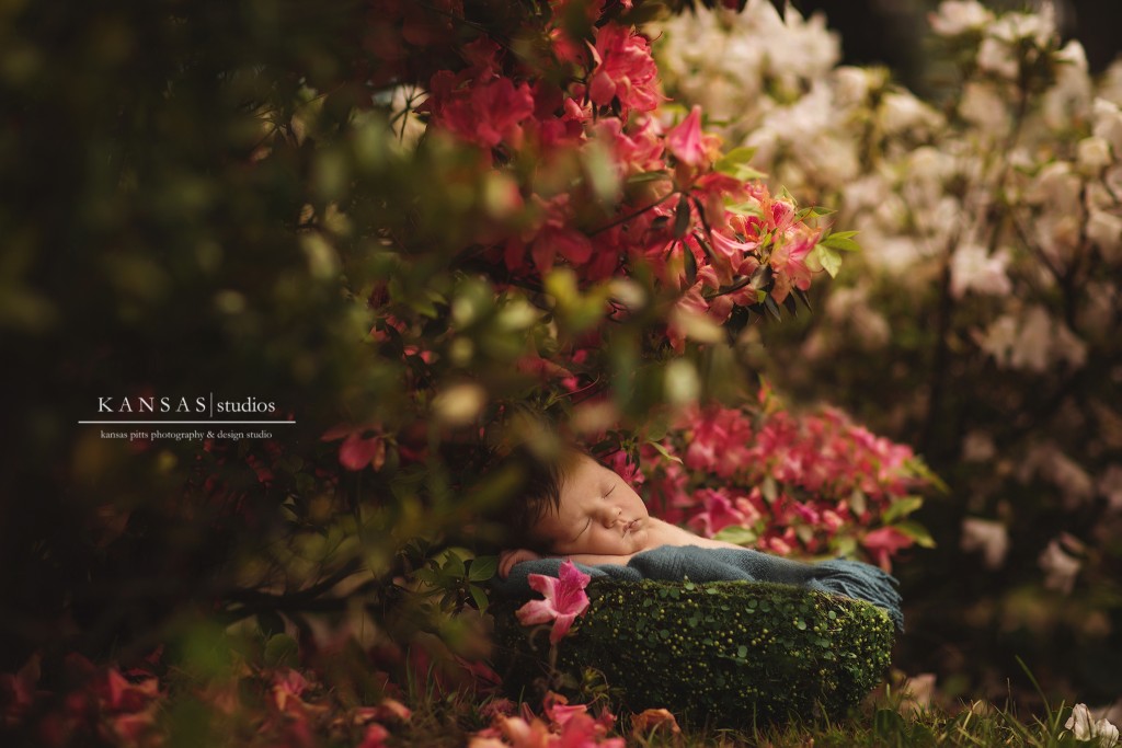babies and flowers
