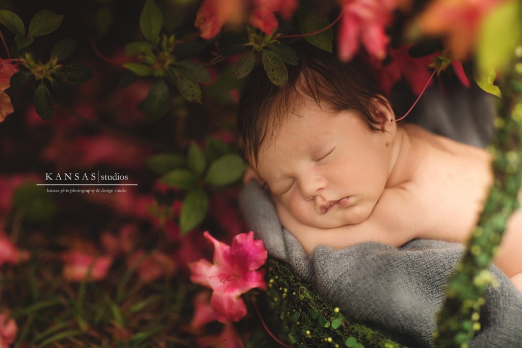 azaleas and newborns