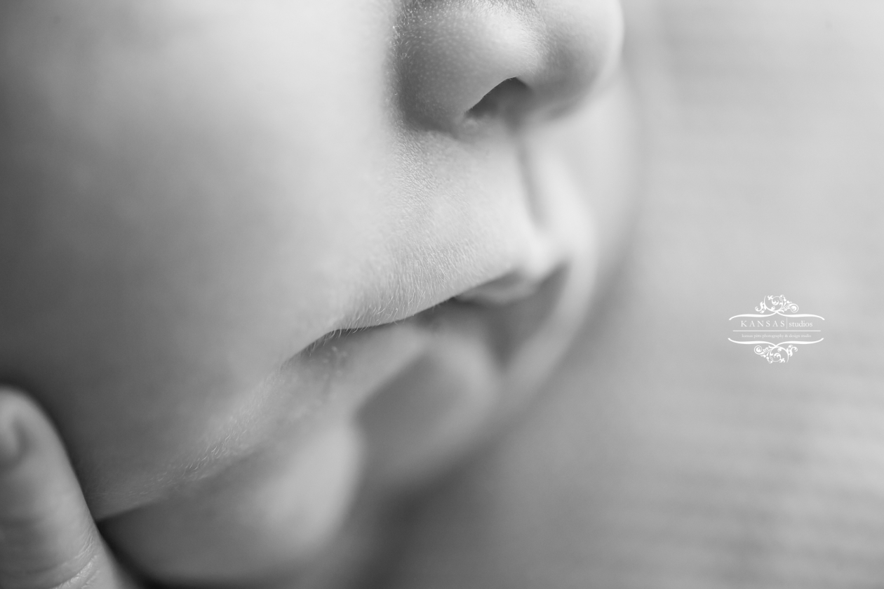 BabyOlsen-24BWWEB