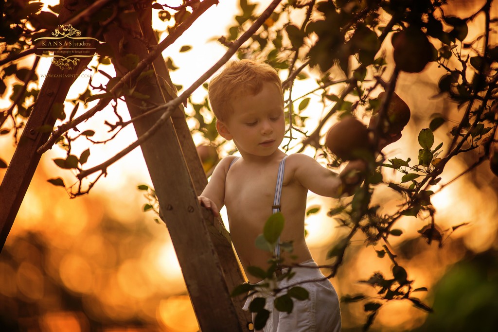 Hudson_Pears-15