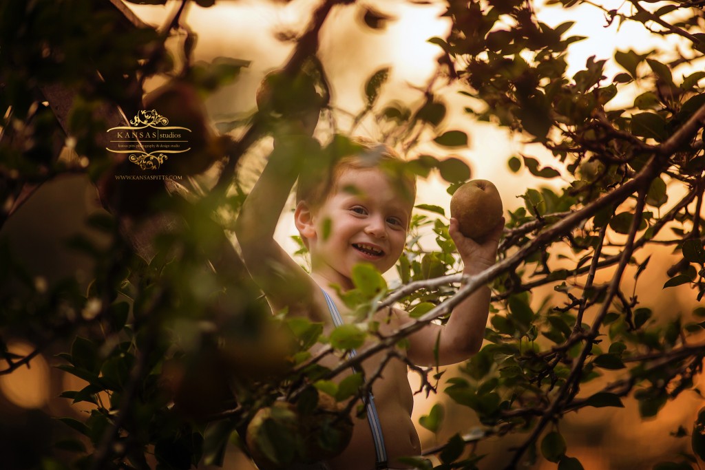 Hudson_Pears-17