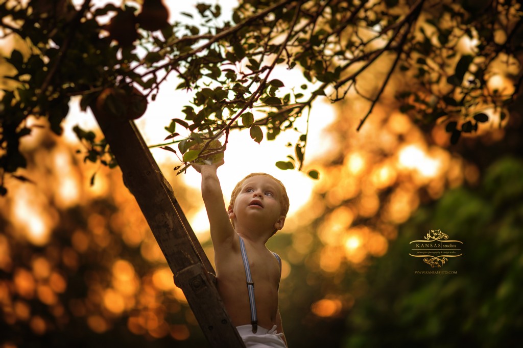 Hudson_Pears-20