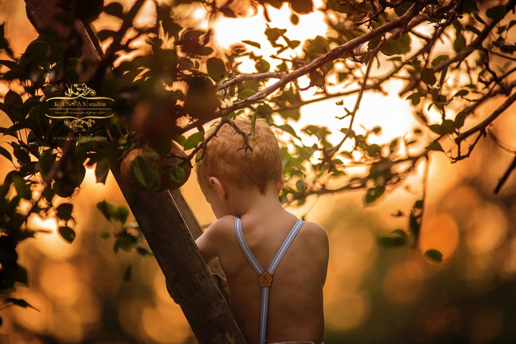 Hudson_Pears-24