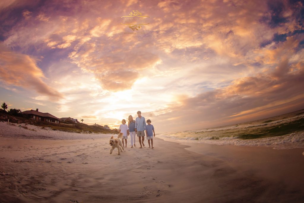 south walton dogs on the beach 