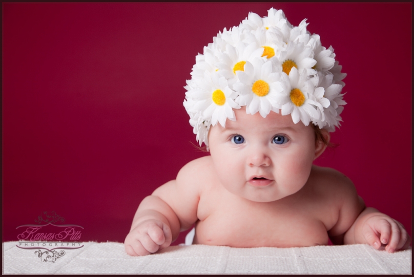 baby plan photography